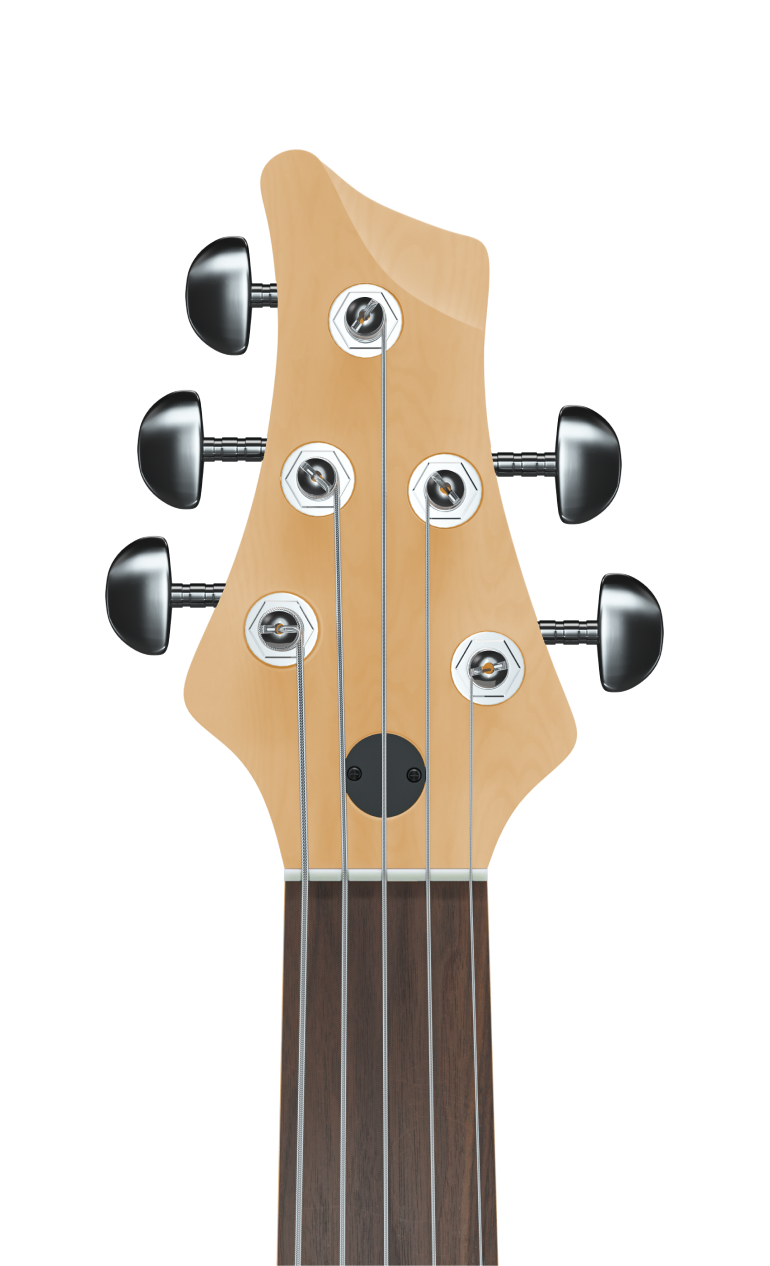 Isang acoustic guitar head na may tuning pegs